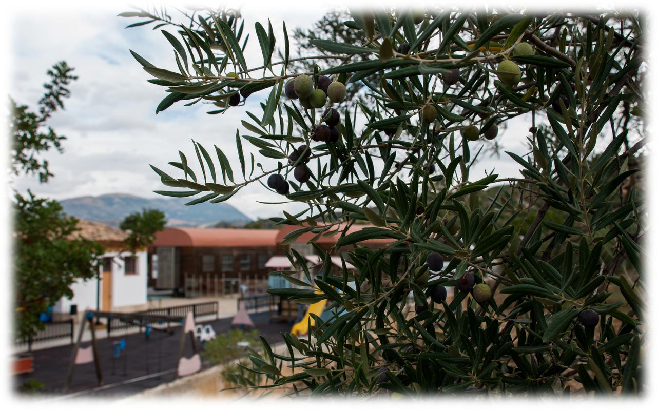 Hostal- Restaurante Estacion Via Verde โอลเวรา ภายนอก รูปภาพ